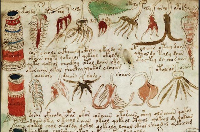 manoscritto di voynich