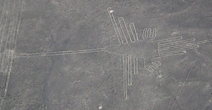 linee di Nazca