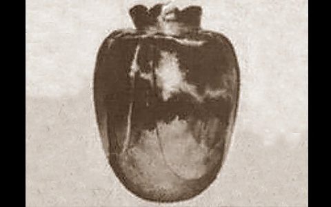 vaso di basano