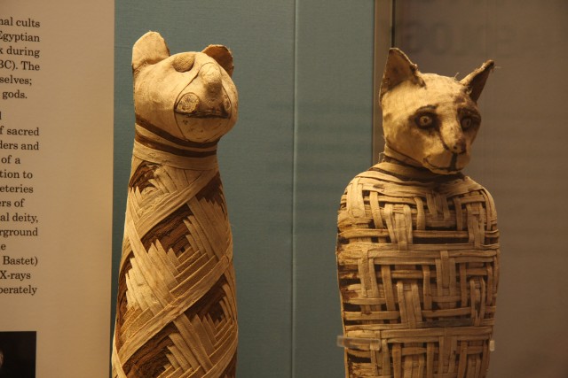 British_museum,_Egypt_mummies_of_animals_(4423733728)