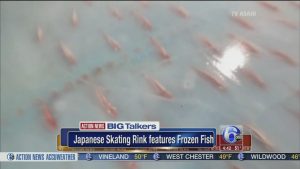 pesci congelati Giappone
