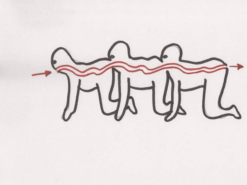 The Human Centipede the trilogy that rewrote horror genre Emadion