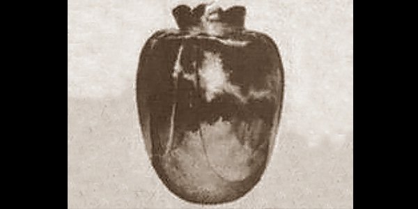 cursed basano vase