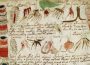 Voynich manuscrito