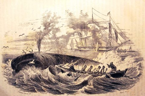 mary celeste navio fantasma