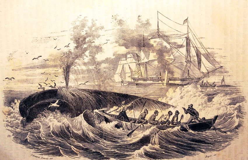mary celeste navio fantasma