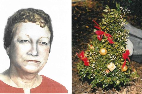 Christmas Tree Lady